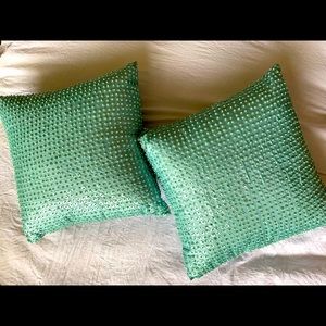 2 Teal Color Throw Pillows